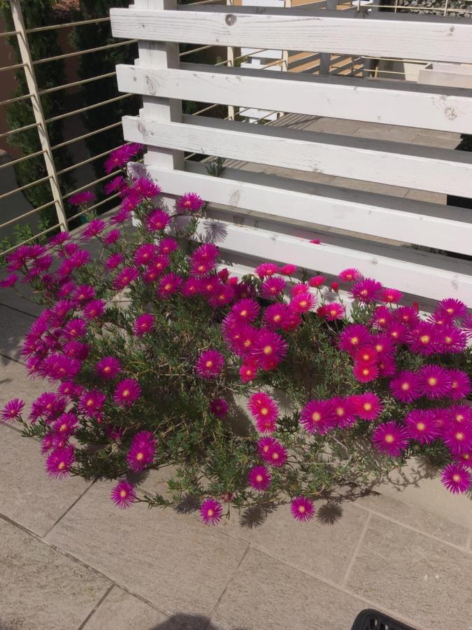 Antonella Gardalake 2 デセンツァーノ・デル・ガルダ エクステリア 写真